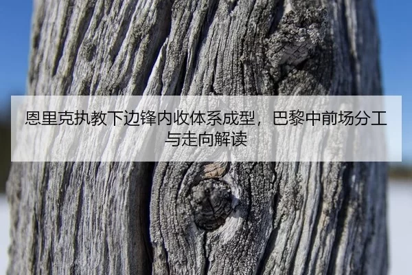 en-li-ke-zhi-jiao-xia-bian-feng-nei-shou-ti-xi-cheng-xing-ba-li-zhong-qian-chang-fen-gong-yu-zou-xiang-jie-du-2-490.jpg