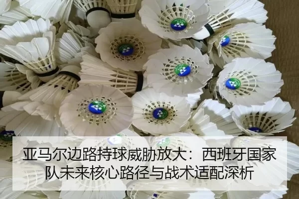 ya-ma-er-bian-lu-chi-qiu-wei-xie-fang-da-xi-ban-ya-guo-jia-dui-wei-lai-he-xin-lu-jing-yu-zhan-shu-shi-pei-shen-xi-2-609.jpg
