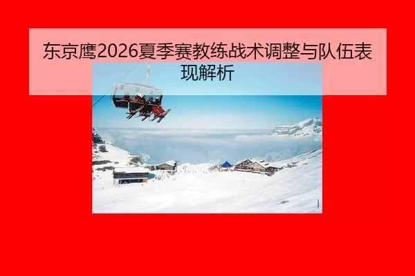 东京鹰2026夏季赛教练战术调整与队伍表现解析
